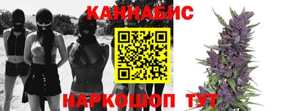 гидропоника Новодвинск