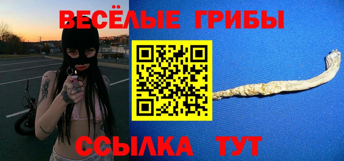 Галлюциногенные грибы ЛСД  Вход с VPN  Сосновый Бор  Галлюциногенные грибы Cubensis 
